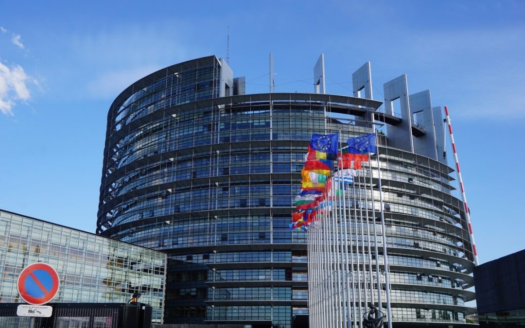 Une bourse de 1.5 millions d’euros accordée pour chacun des deux chercheurs lyonnais