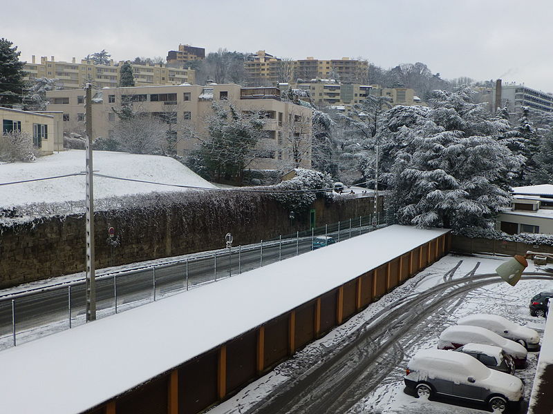 Lyon : de fortes intempéries et chutes de neige privent d’électricité 9000 foyers dans le Rhône et la Loire